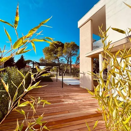 Magnifique Contemporaine Climatise Piscine Ref Notre Dame Villa *