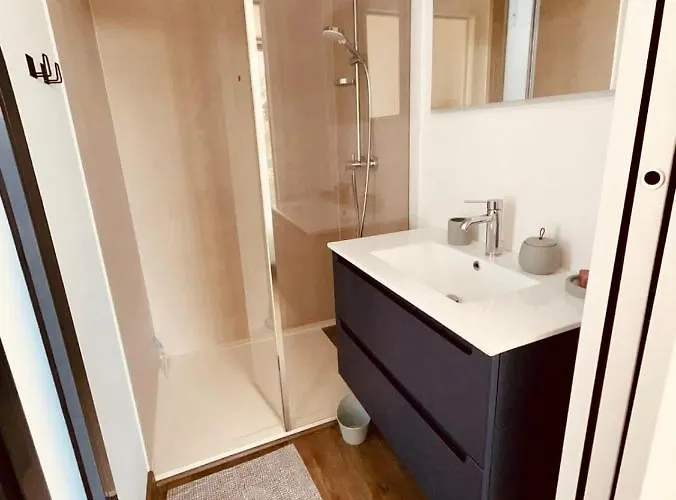 Magnifique Contemporaine Climatisee Piscine Ref Notre Dame Saint-Raphaël